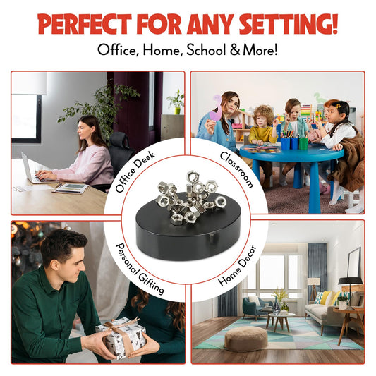Magnetic Sculpture Assortment Set of 6