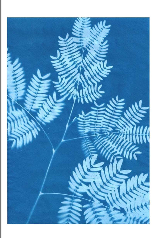 SunPrint Paper Kit large